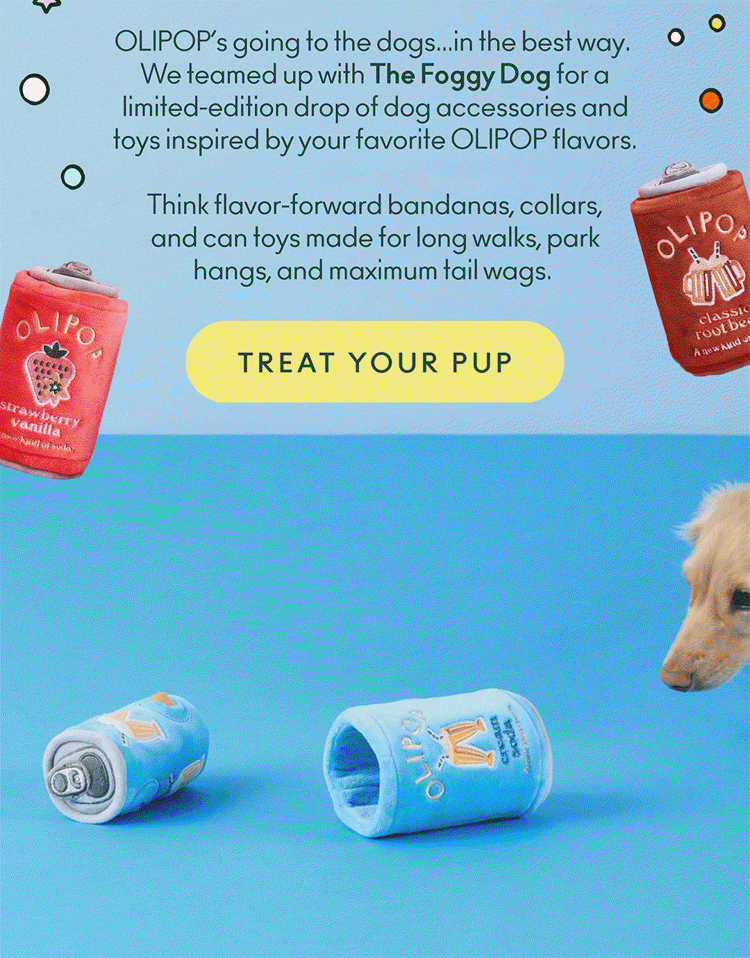 We teamed up with The Foggy Dog for a limited-edition drop of dog accessories and toys inspired by your favorite OLIPOP flavors. Think flavor-forward bandanas, collars, and can toys made for long walks, park hangs, and maximum tail wags.
