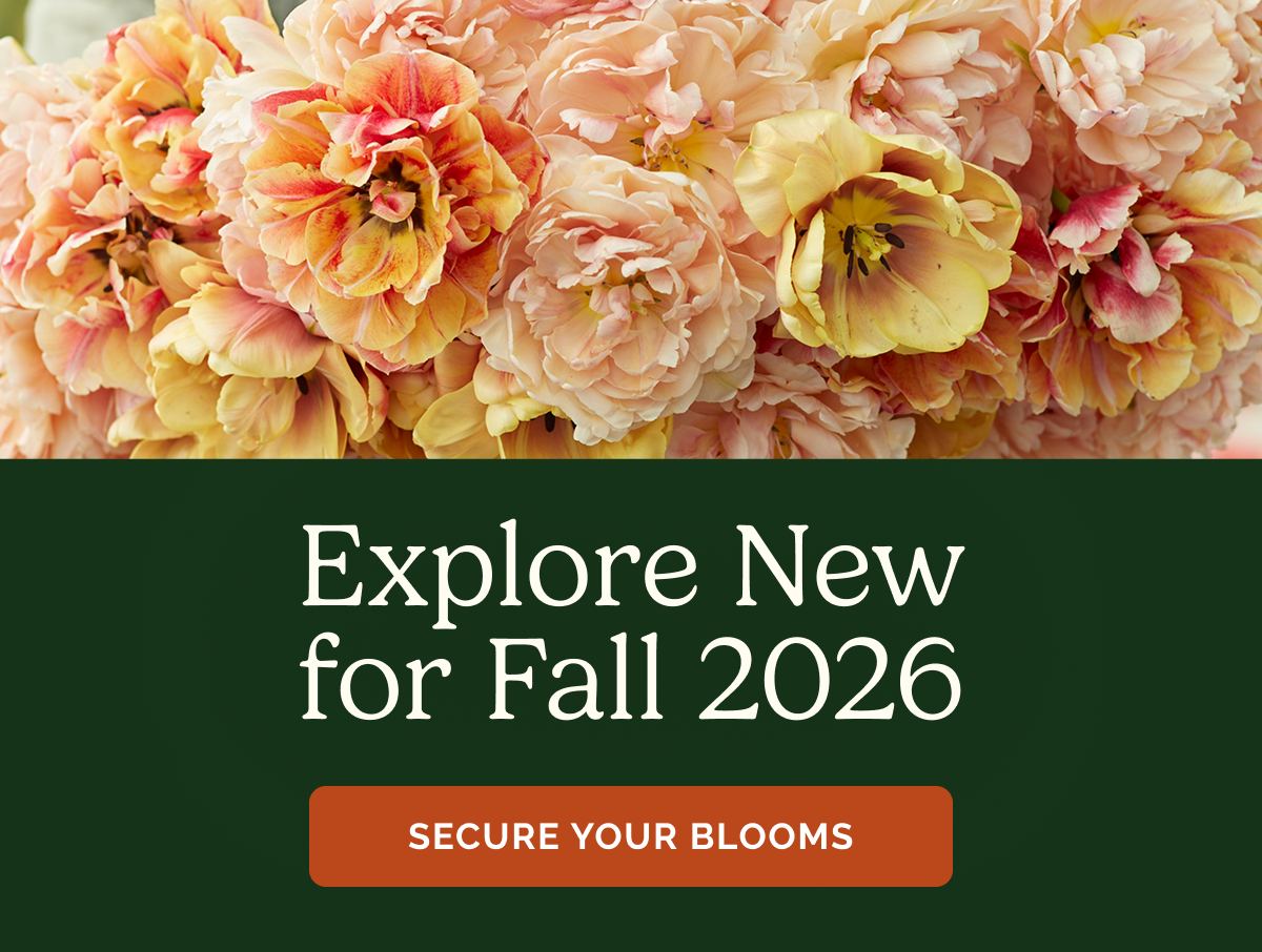Explore New for Fall 2026 – Secure Your Blooms