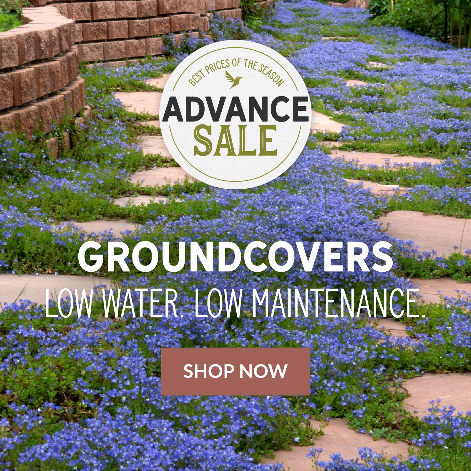 Advance sale save 20%