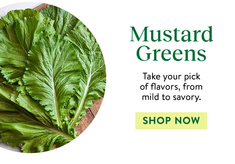 Mustard Green Seeds