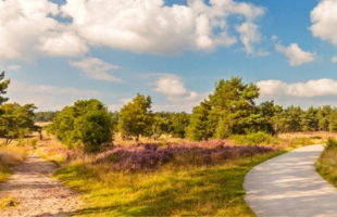 Veluwe