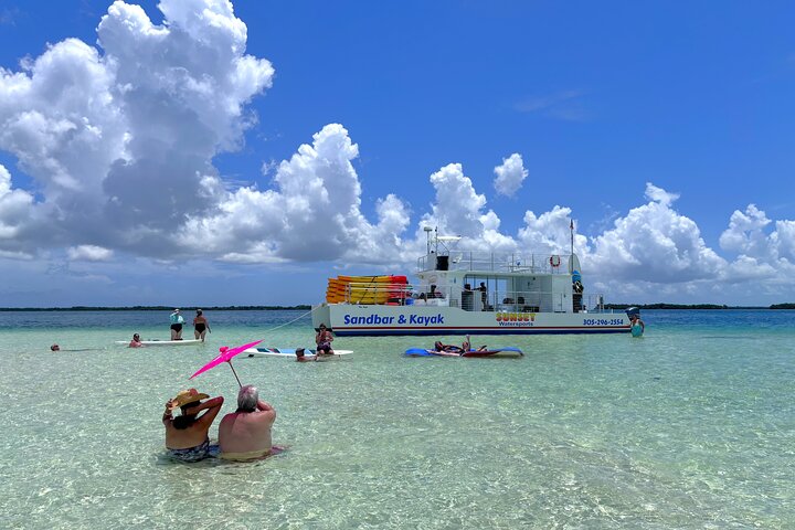 All-Inclusive Sandbar Safari with Dolphin Playground Encounter