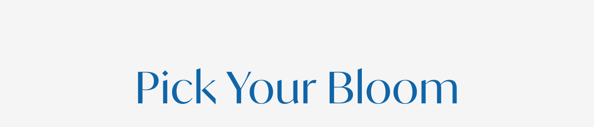 Pick Your Bloom