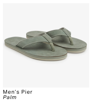 Men's Pier Palm