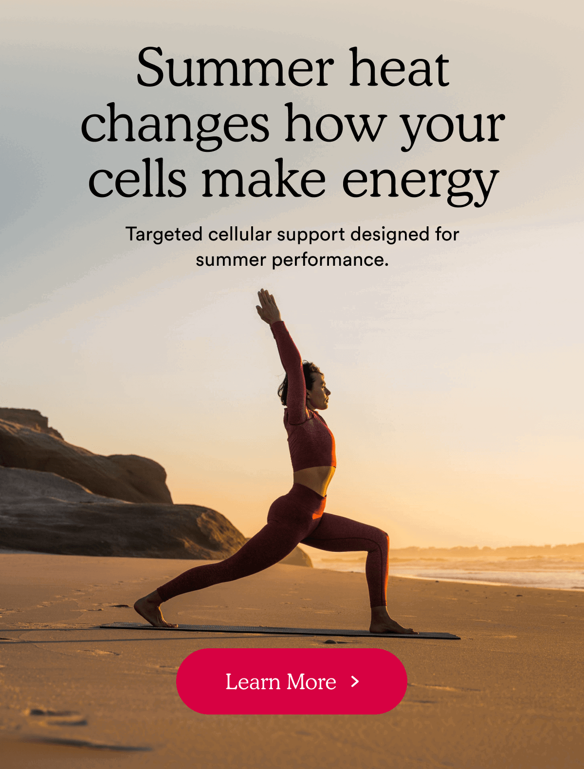 Summer heat changes how your cells make energy | Learn More