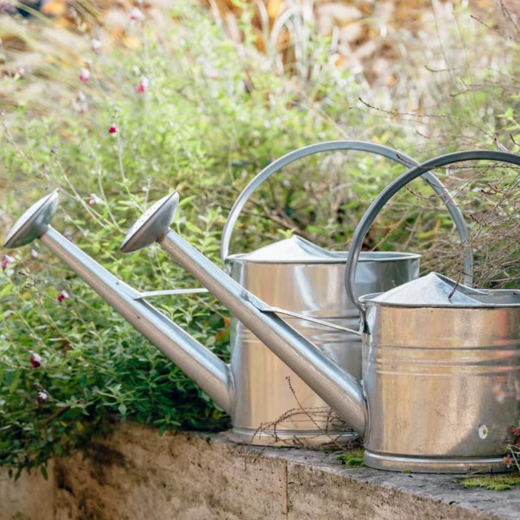 Watering cans