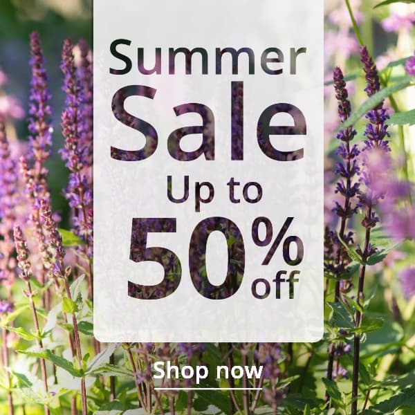 Use code SALE10 for an extra 10% off plants 