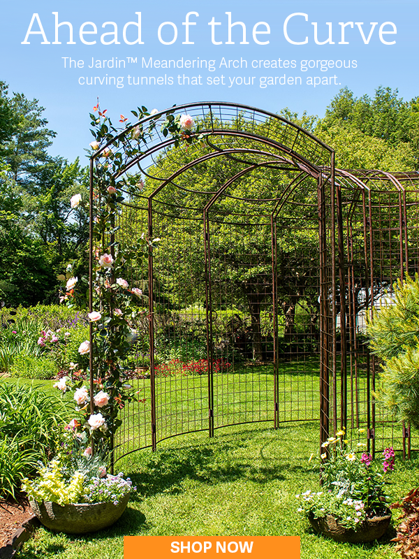 Ahead of the Curve - The Jardin Meandering Arch creates gorgeous curving tunnels that set your garden apart. - SHOP NOW