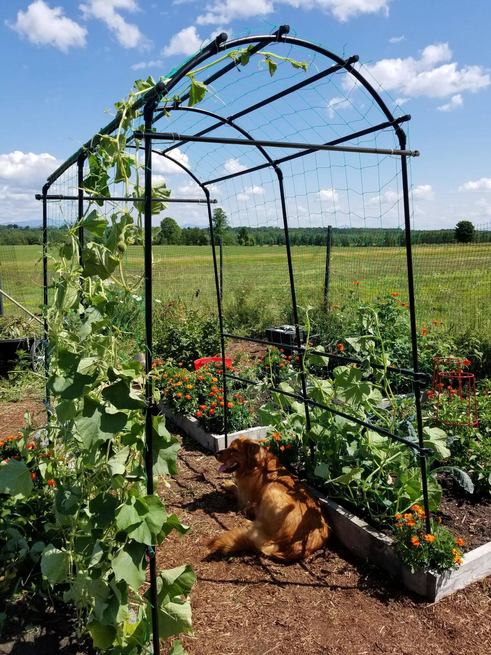 Image of Titan™ Squash Tunnel