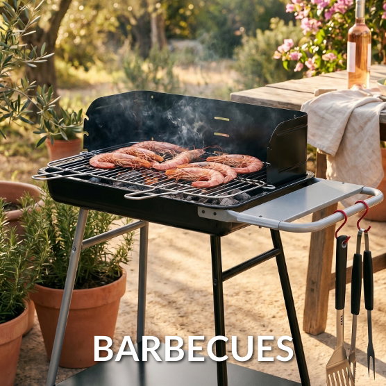 soldes barbecue