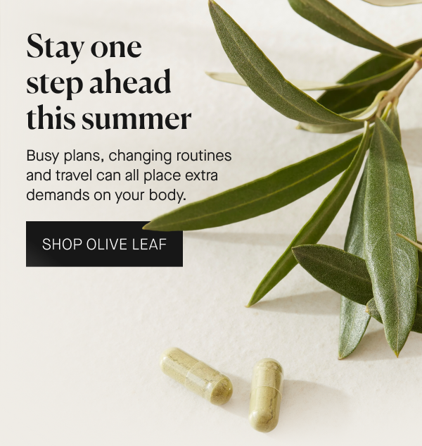 Olive Leaf for everyday immune support