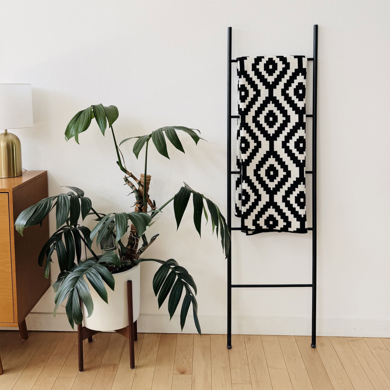 Seek & Swoon throw