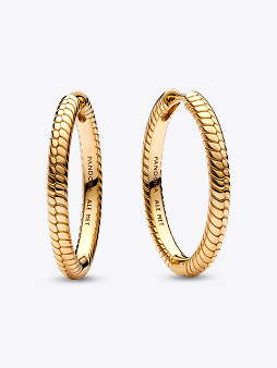 Pandora Moments Charm Hoop Earrings