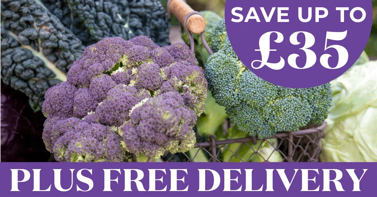 Less Than 34p Per Plant + Free Delivery