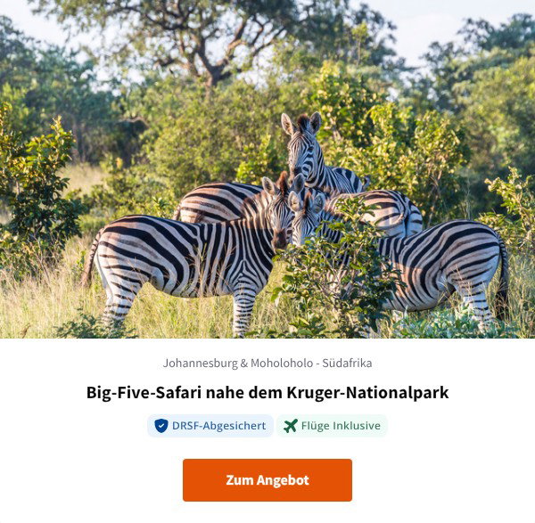 Big-Five-Safari nahe dem Kruger-Nationalpark