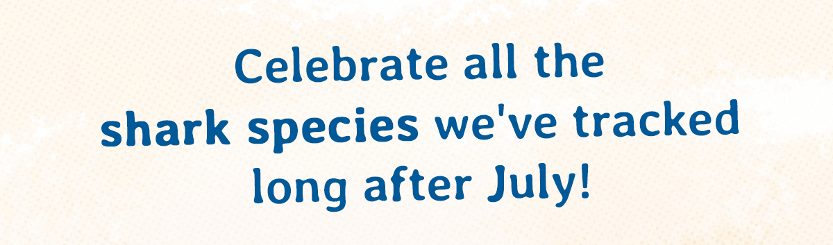 Snag your shark shirt in celebration of Shark Month! Shop now!