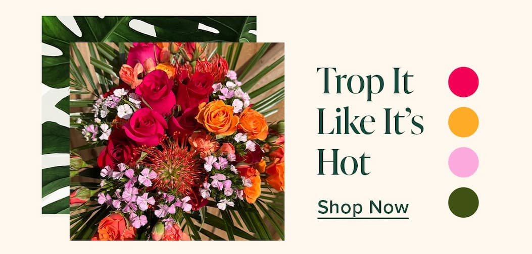 Trop It Like It's Hot. Shop Now