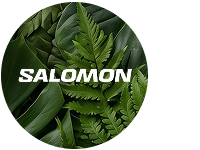 salomon