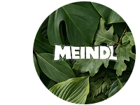 meindl