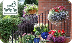 3 conseils de pro pour créer et aménager un jardin de ville / jardin urbain