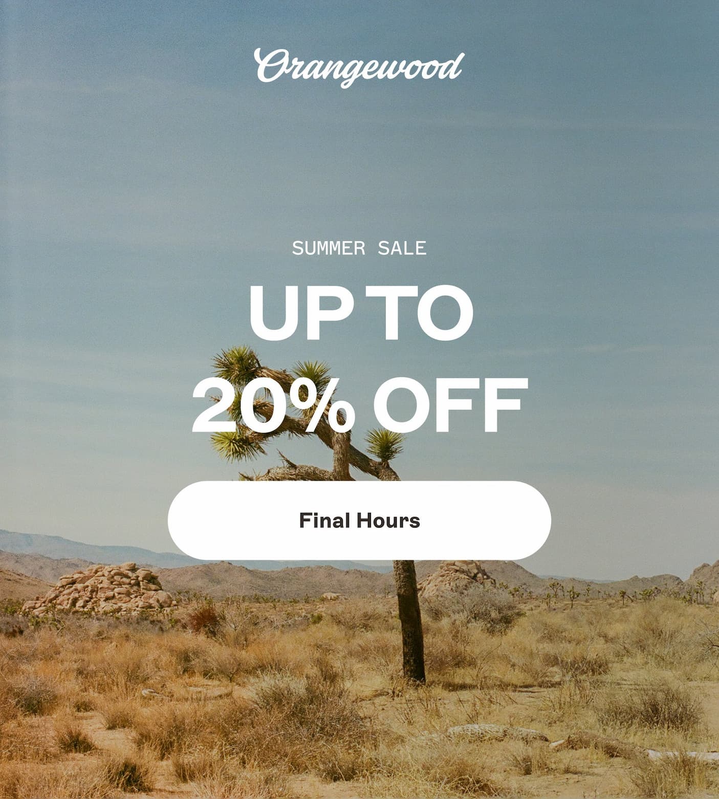 Summer Sale Last Call