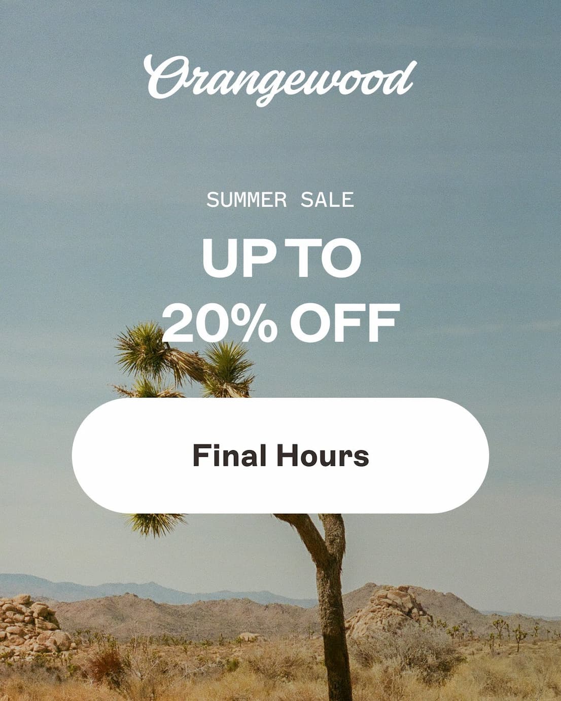 Summer Sale Last Call