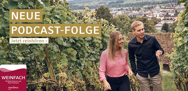 «Weinfach» – der Podcast von Mövenpick Wein