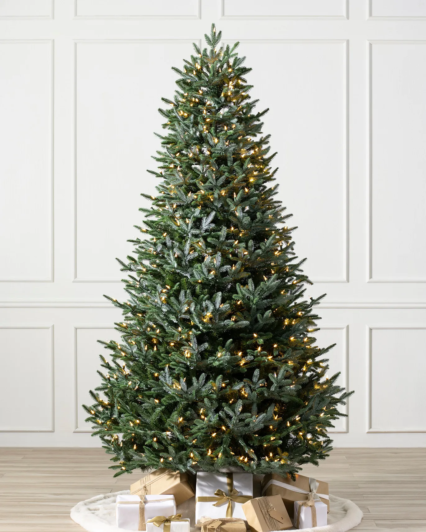 Image of European Silver Fir
