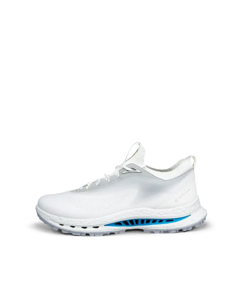 ECCO Golf Biom C5