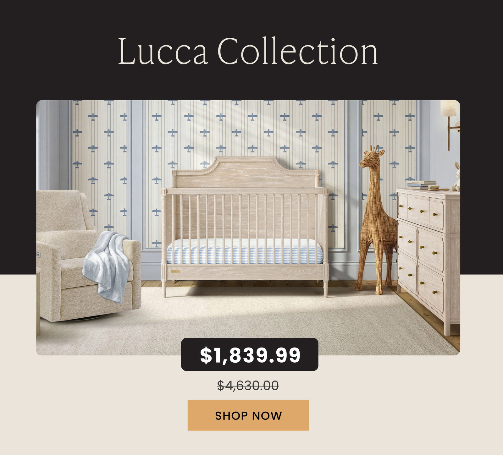 Shop Luca Collection