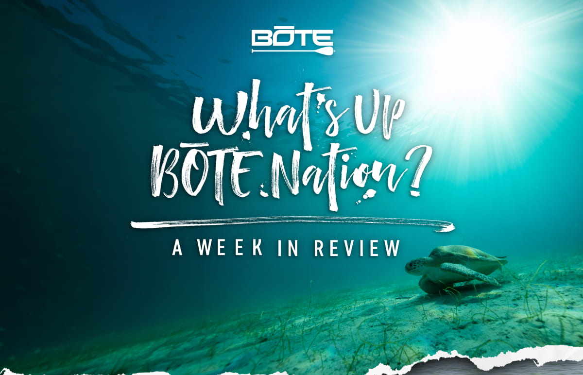 WUBN? A Week In Review