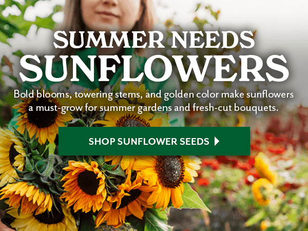 GROW A LITTLE SUNSHINE - SHOP SUNFLOWER SEEDS