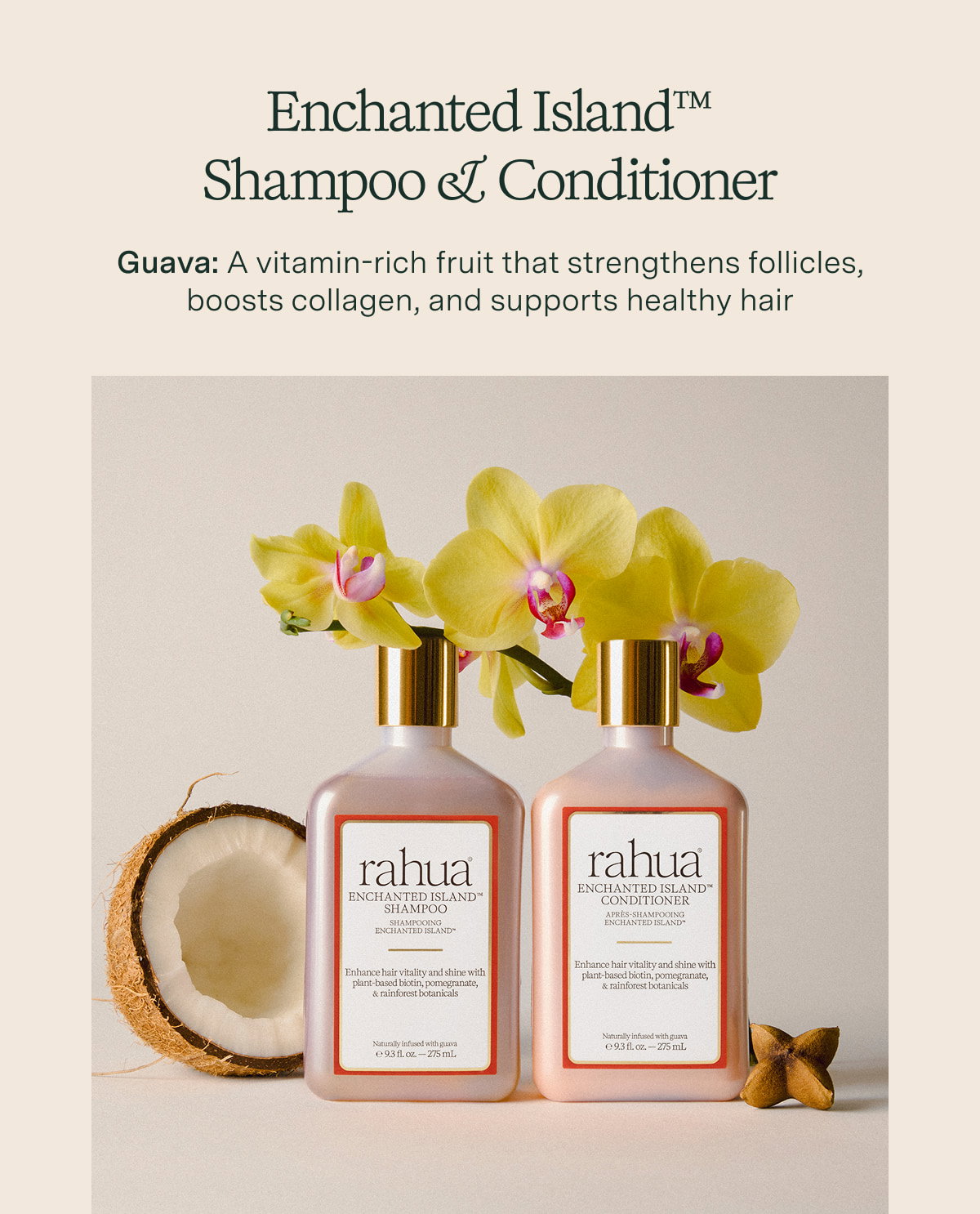 Enchanted Island Shampoo & Conditioner