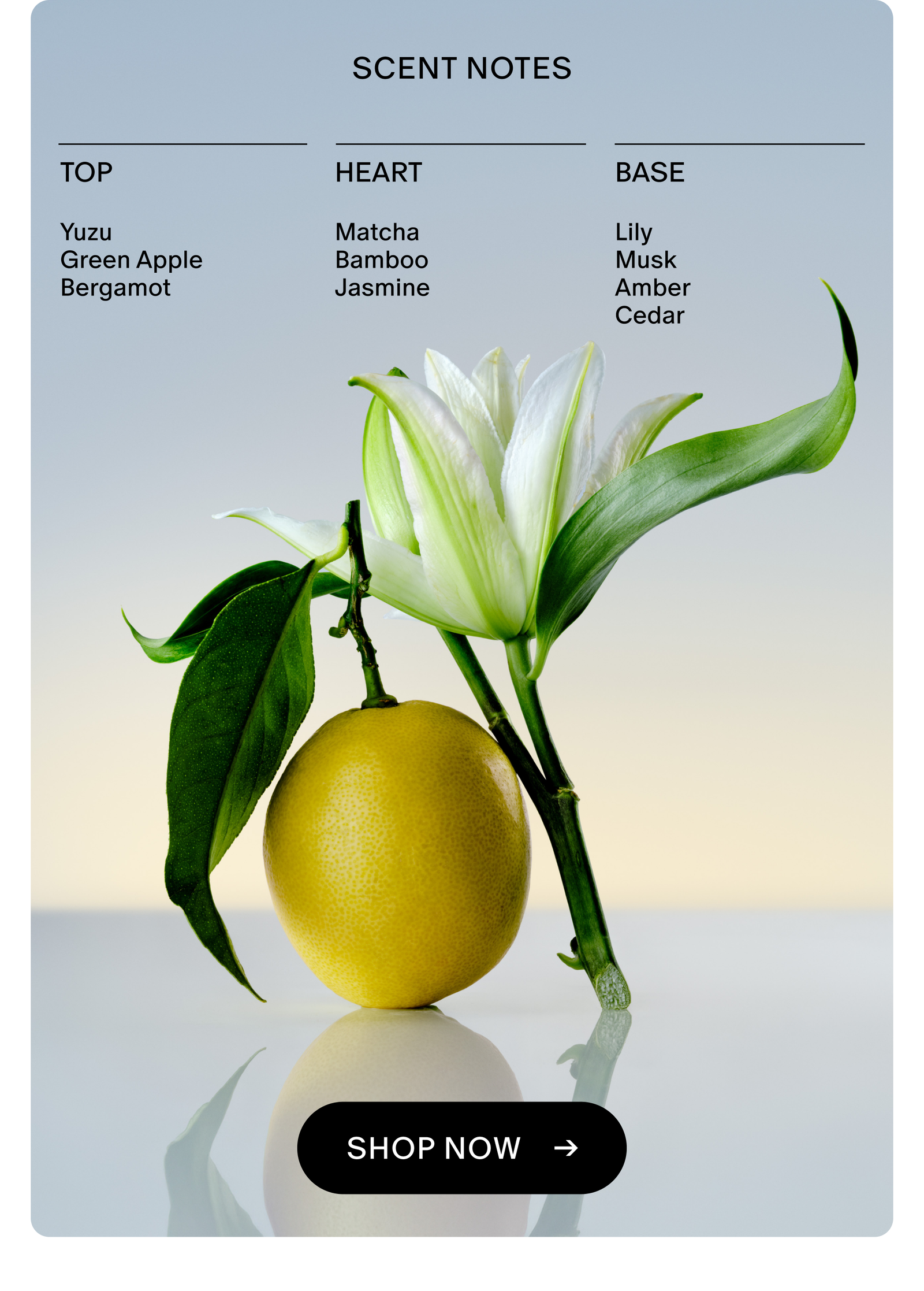 Lily & Yuzu Scent Notes