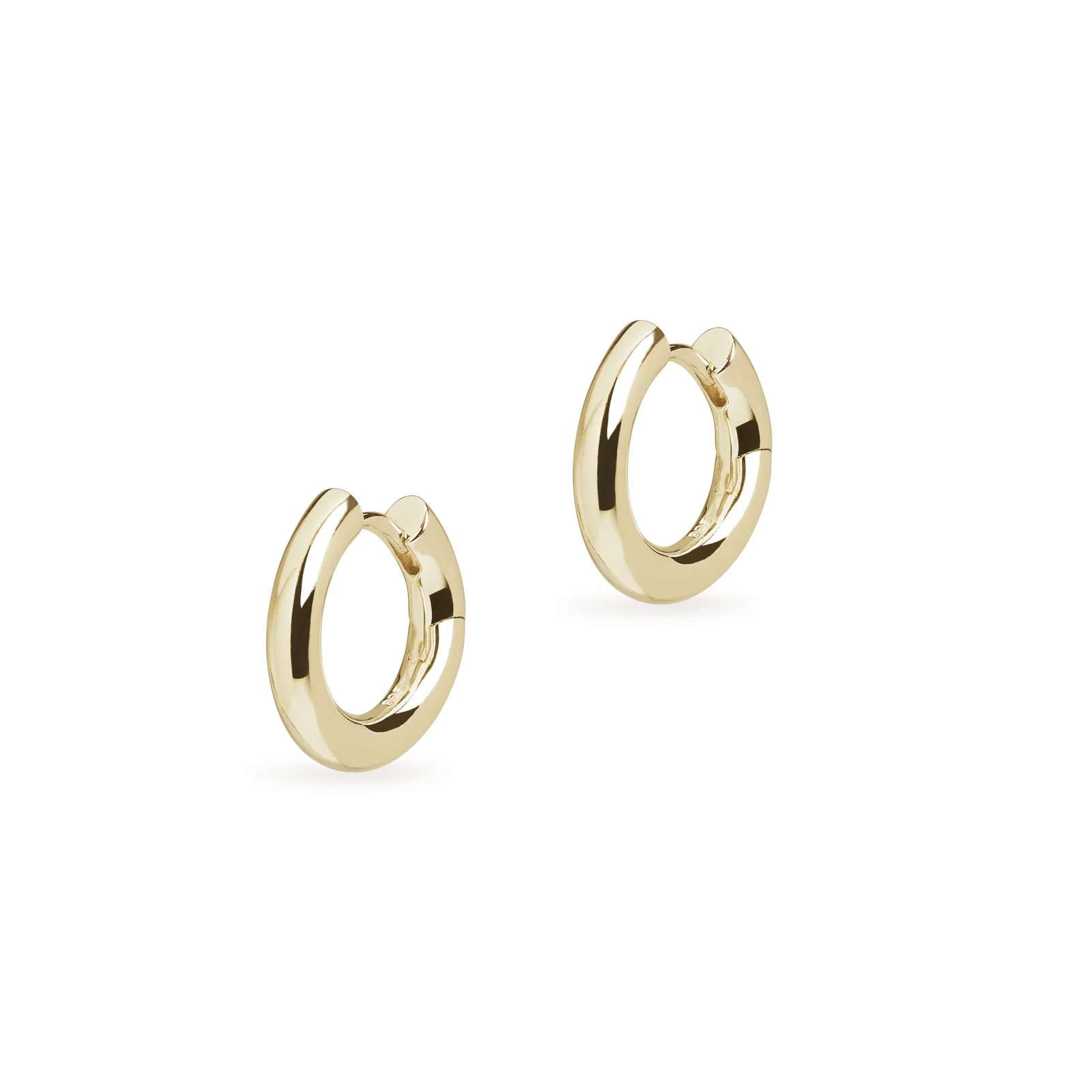 Image of Small Chunky Hoop Earrings