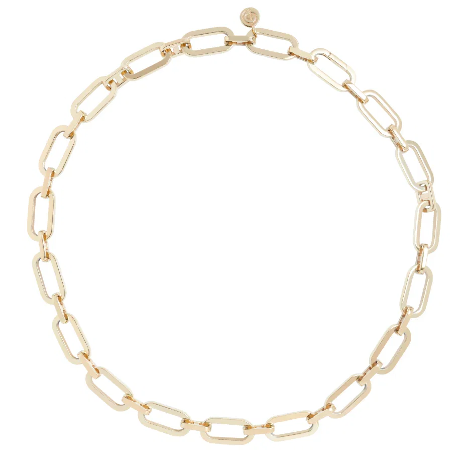 Image of Link Chain Charm Necklace