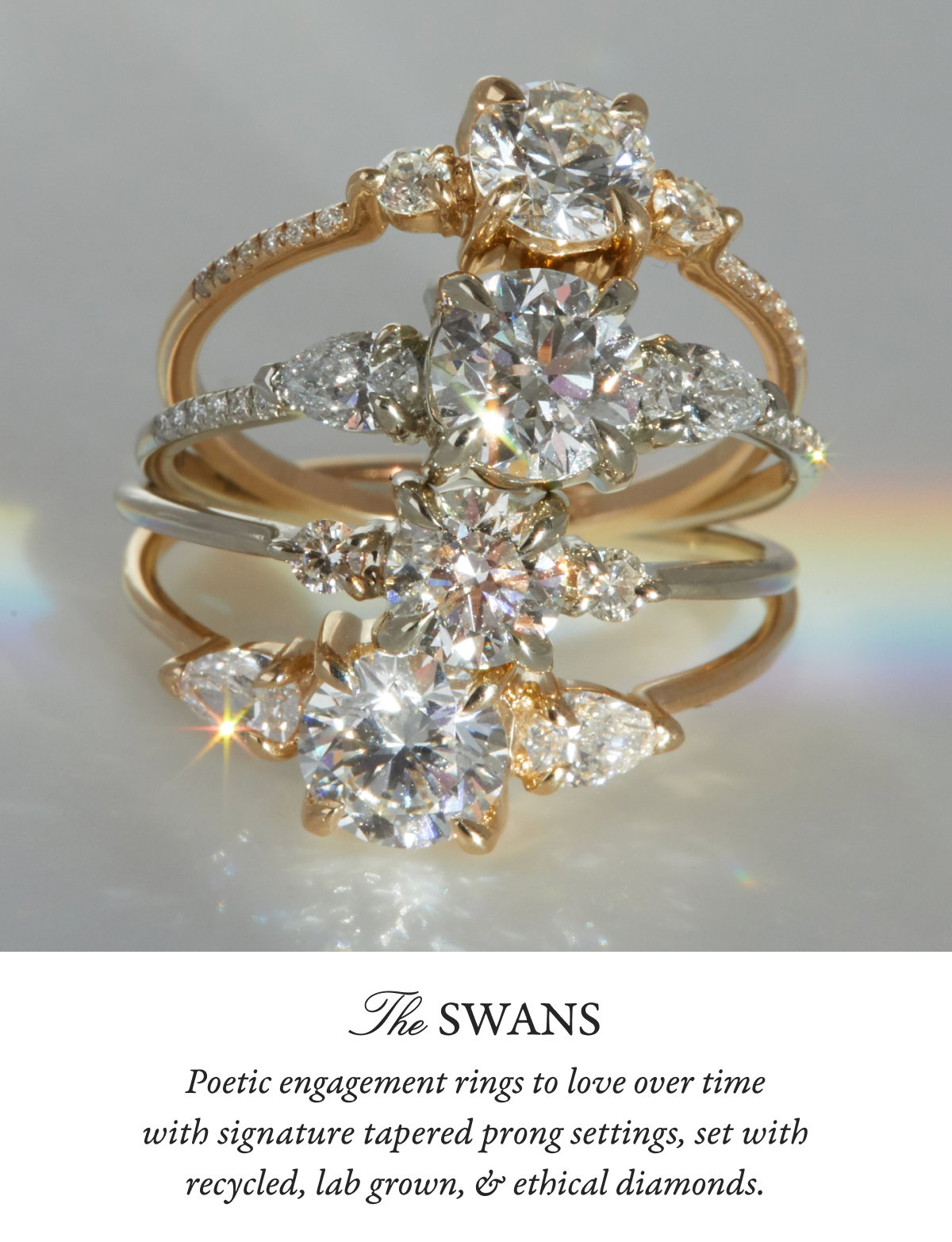 The Swans
