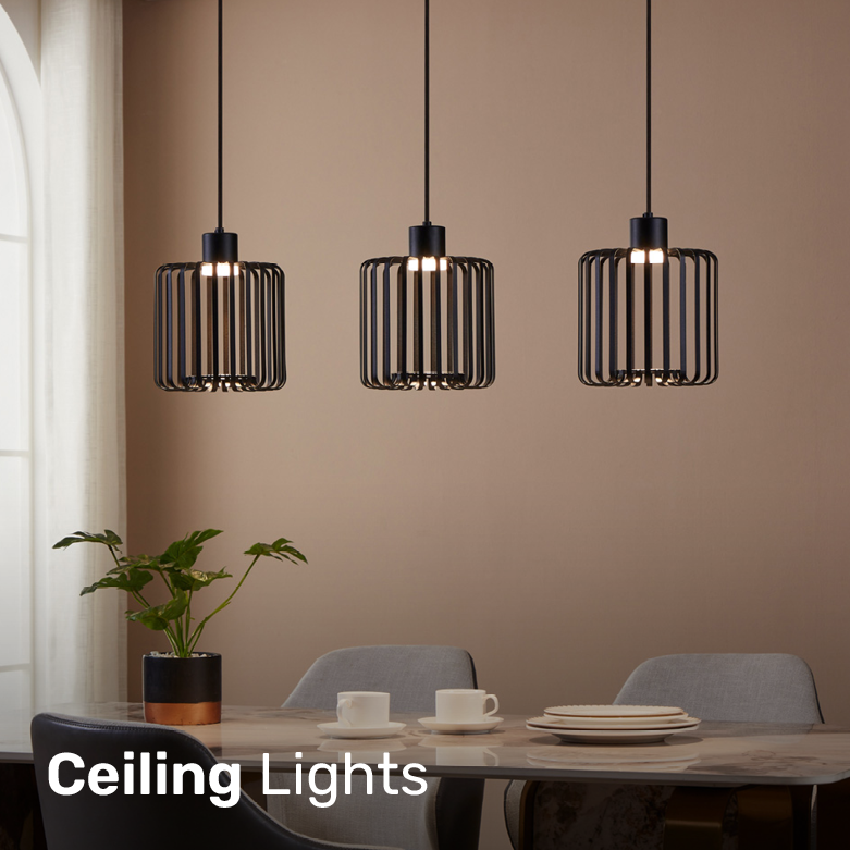 Ceiling Lights