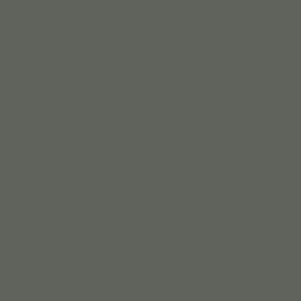 Image of Pewter Green (6208)