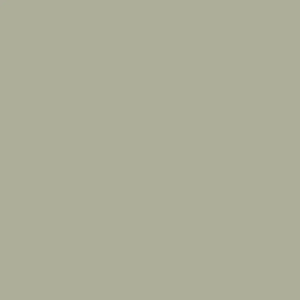 Image of Clary Sage (6178)
