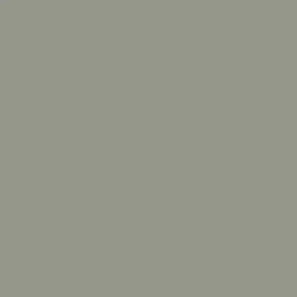 Image of Evergreen Fog (9130)