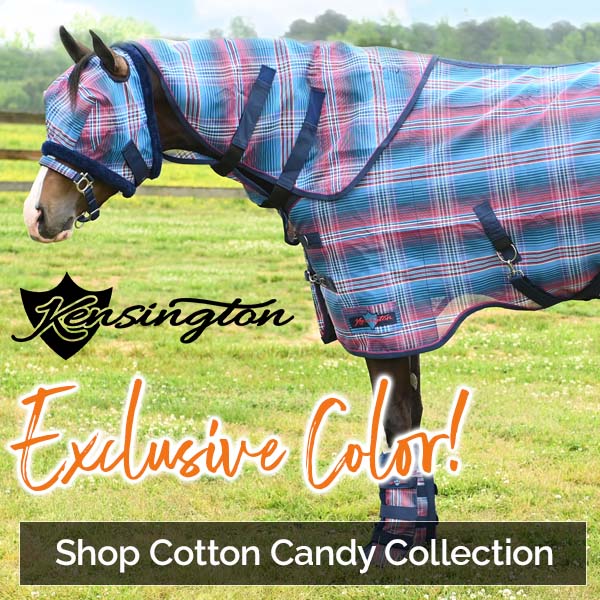Shop Kensington Exclusive Cotton Candy Plaid