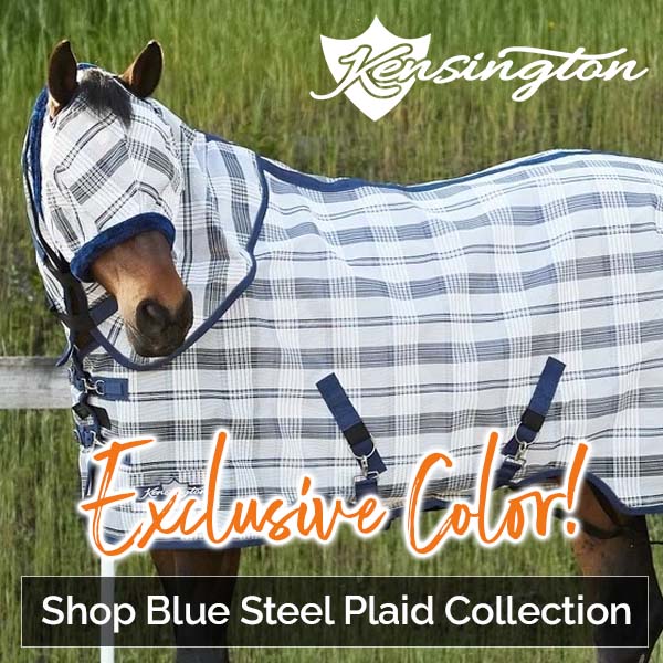 Shop Kensington Exclusive Blue-Steel Plaid