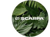 scarpa