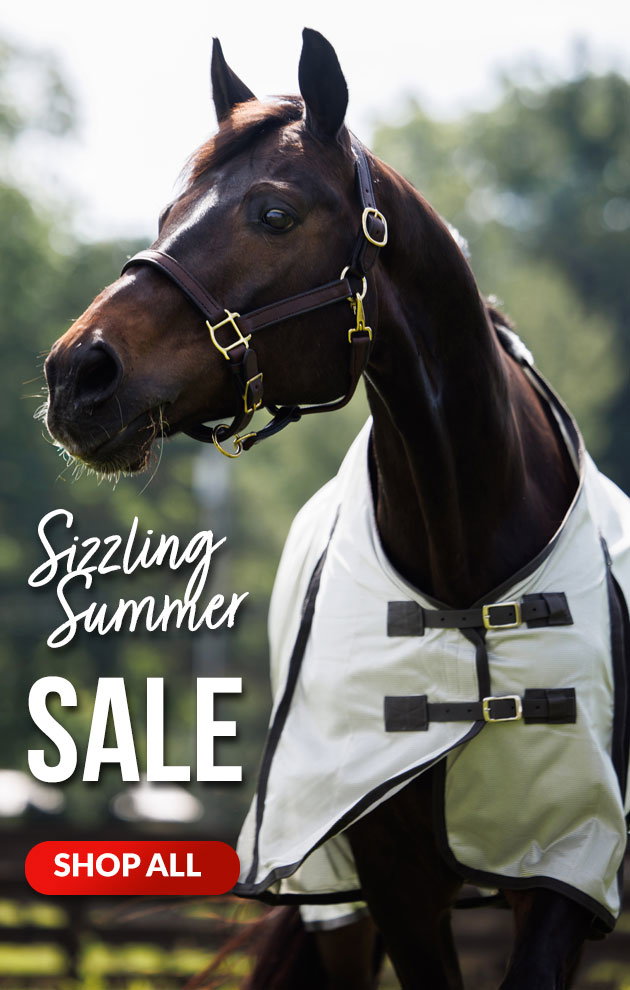 Sizzling summer sale