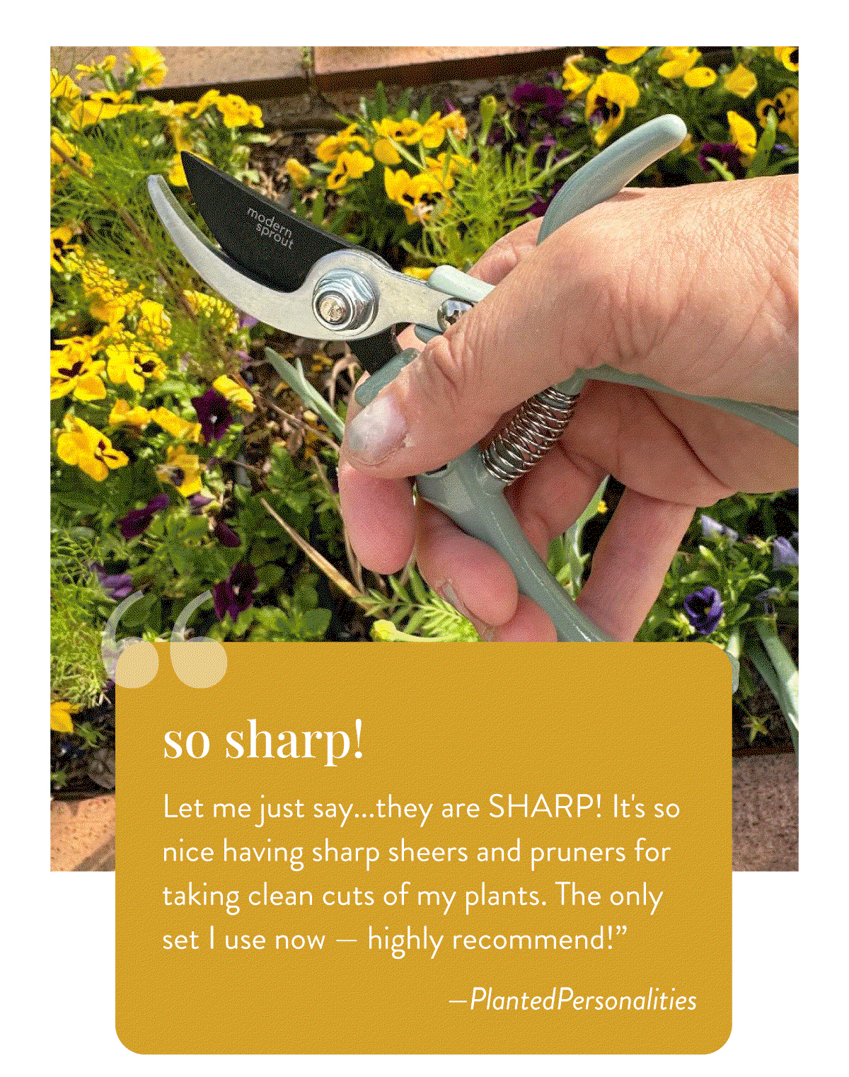 So Sharp! "Let me just say...they are SHARP! It's so nice having sharp sheers and pruners for taking clean cuts of my plants. The only set I use now — highly recommend!” ——PlantedPersonalities