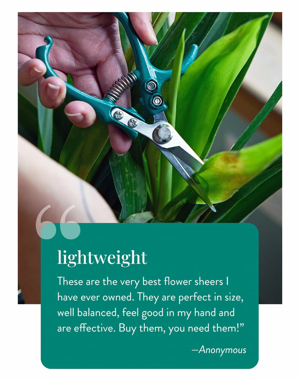 Lightweight: "These are the very best flower sheers I have ever owned. They are perfect in size, well balanced, feel good in my hand and are effective. Buy them, you need them!” ——Anonymous