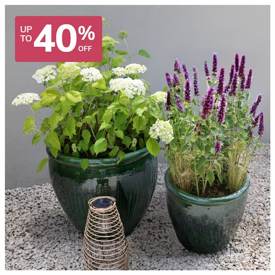 Planters