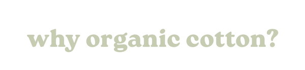 why organic cotton?