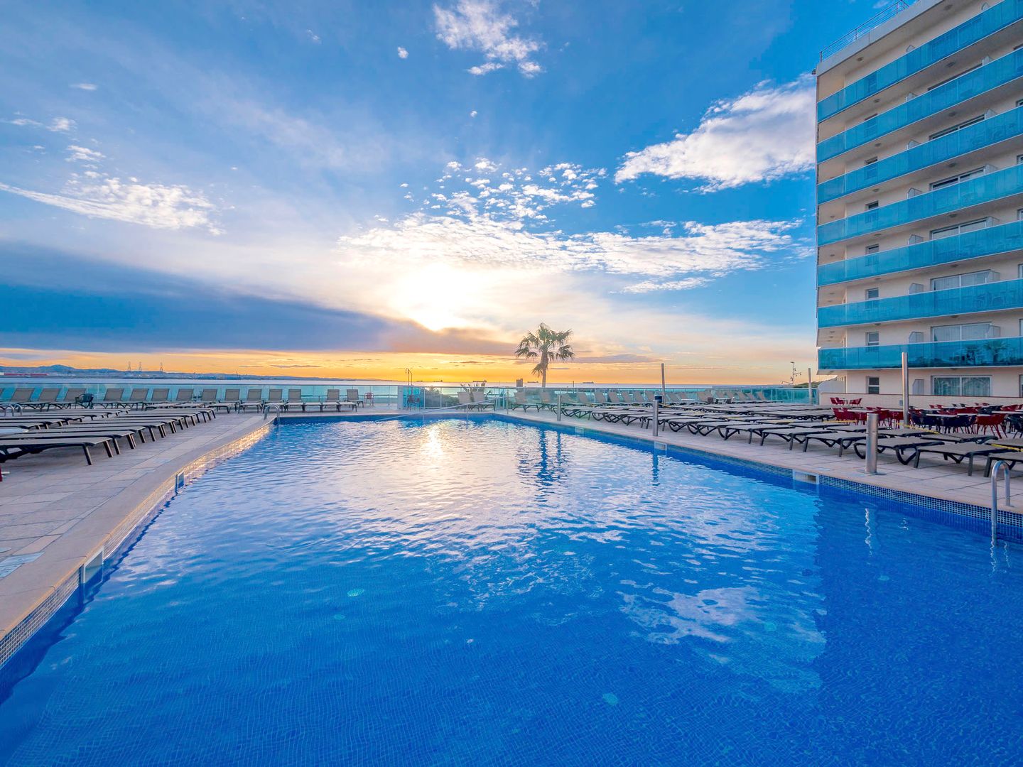 Rooftop hotel swimming pool with sun loungers and a palm tree overlooking the sea at sunset, modern glass-fronted building